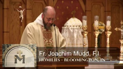 Nov 20 - Homily: Gifts and Responsibility