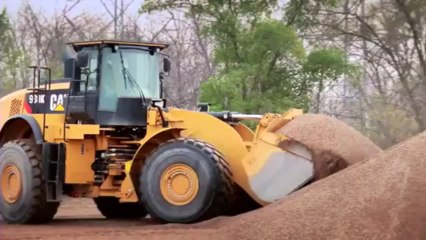HOLT CAT Waco Wheel Loader (254) 662-4911 Wheel Loader