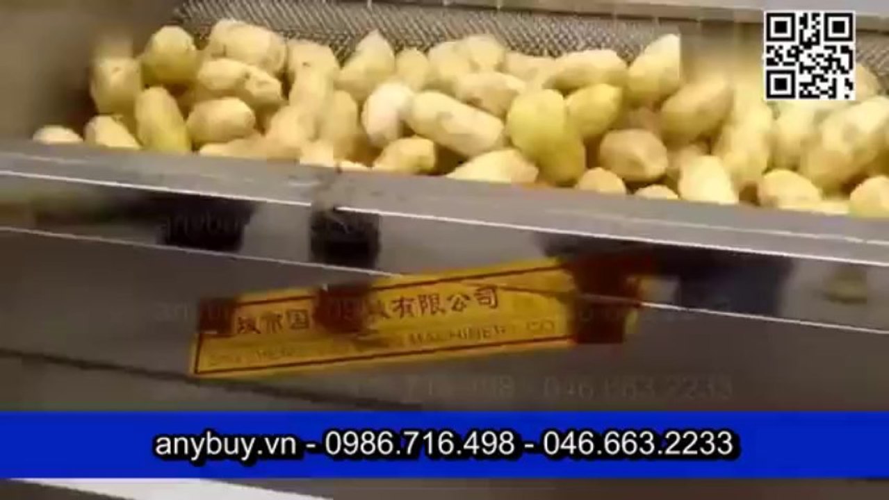 Máy lột vỏ khoai, máy bóc vỏ khoai, máy gọt vỏ khoai các loại anybuy.vn