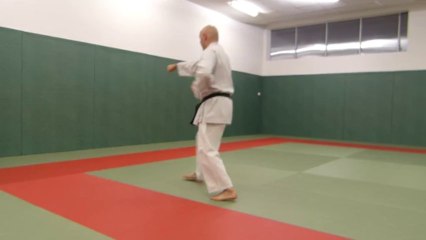 HEIAN SHODAN lent