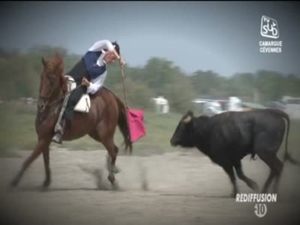 Tendido Sud du Mercredi 20 Novembre 2013 - Partie 1