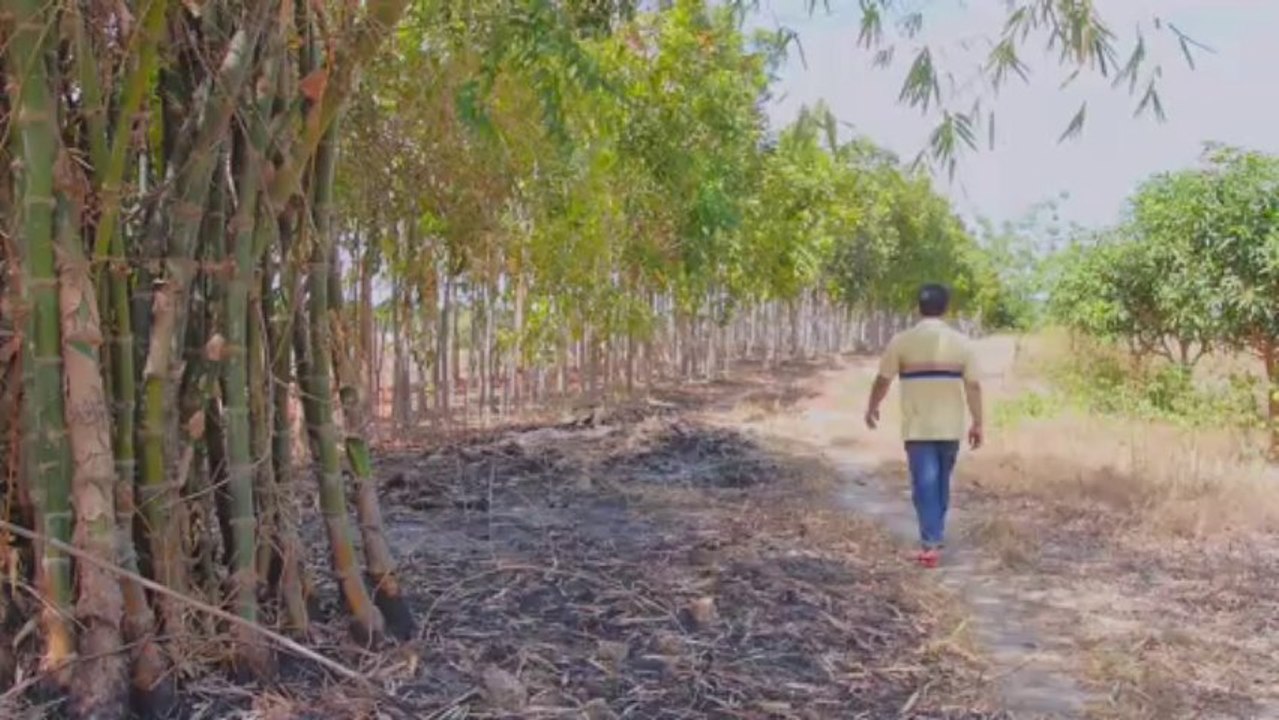 Bande annonce Philippines, terre solidaire