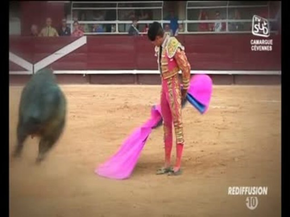 Tendido Sud du Mercredi 20 Novembre 2013 - Partie 2
