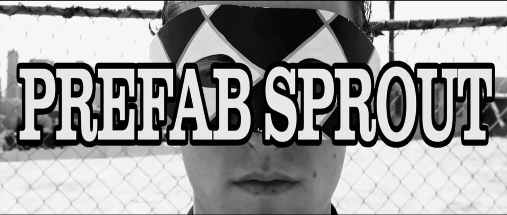 Prefab sprout - best jewel thief in the world (press quotations)