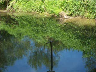 SLIKE Rijeka Spreča