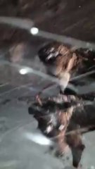 team grande odyssée 2014