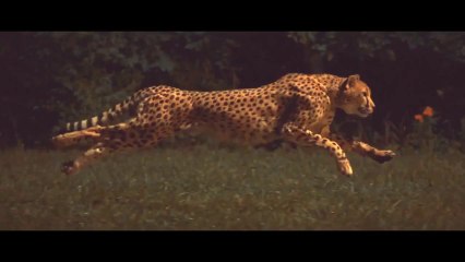 Tearjerker  Another Moon Remix (ft. Snow What)