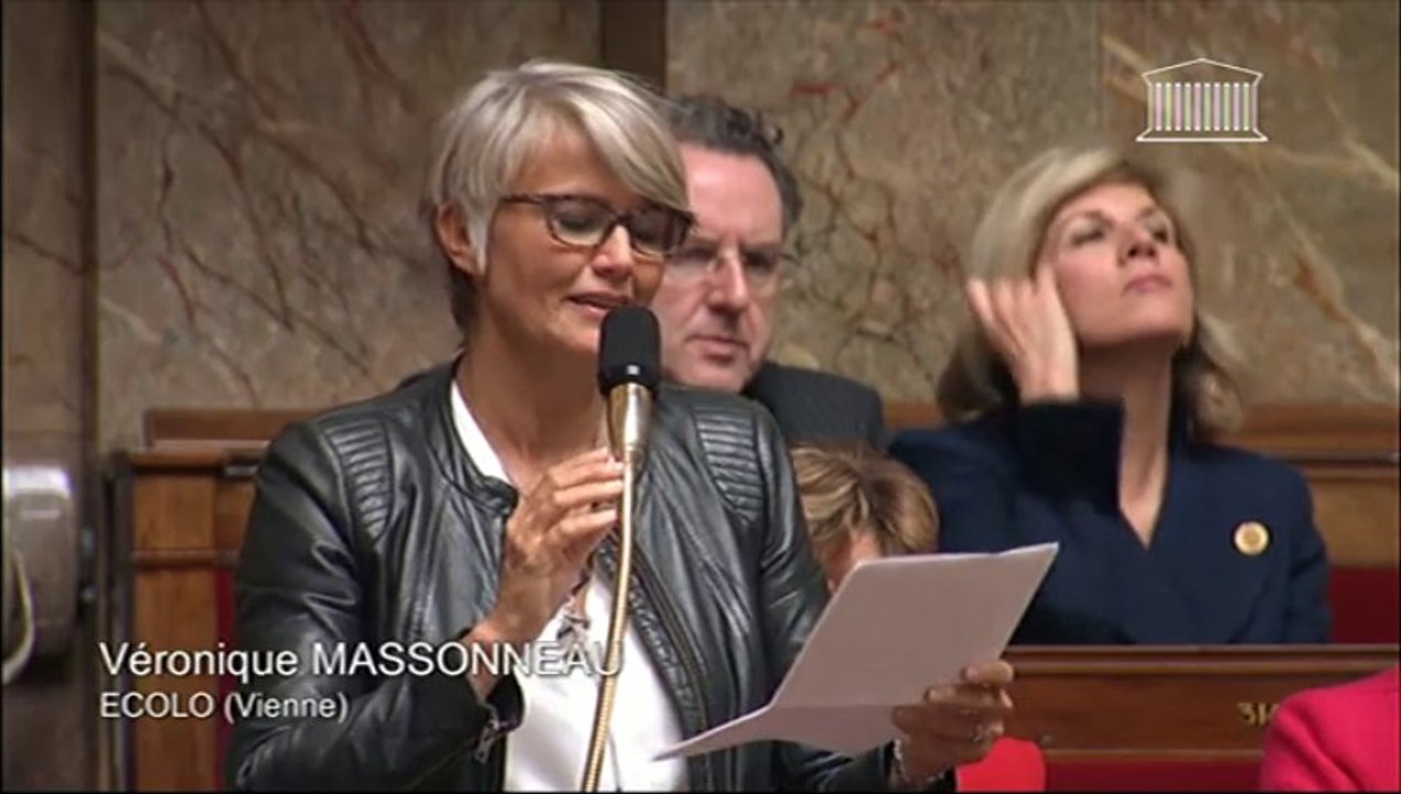 Véronique Massonneau interroge le gouvernement sur l'insertion dans l'emploi des personnes handicapées