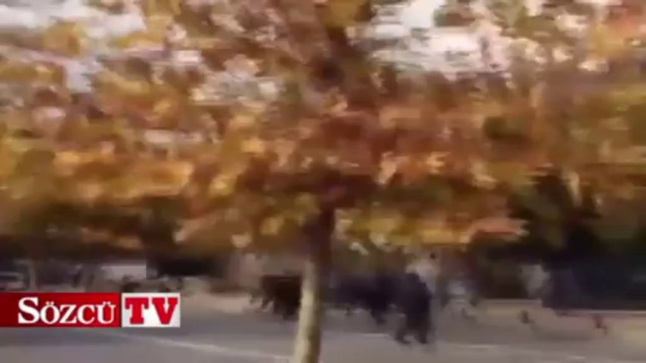 Başbakanlık yakınlarındaki olay anı