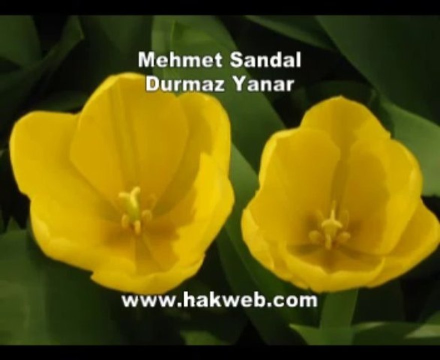 Mehmet Sandal - Durmaz Yanar - http___www.hakweb.com