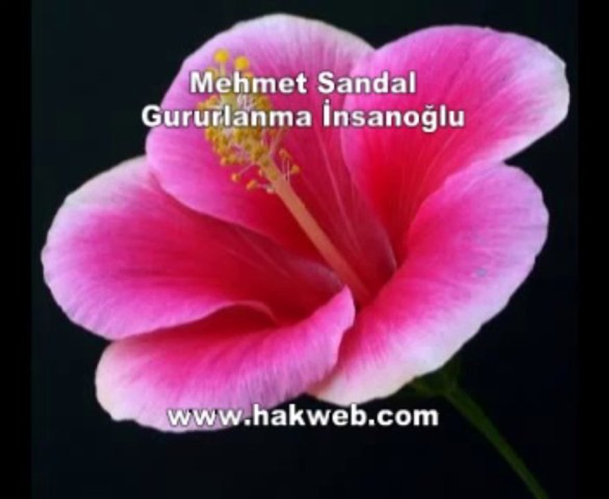Mehmet Sandal - Gururlanma İnsanoğlu - http___www.hakweb.com