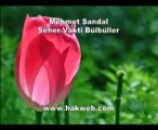 Mehmet Sandal - Seher Vakti Bülbüller - http __www.hakweb.com