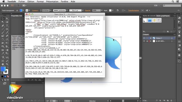 Tutoriel Illustrator CC : Export SVG avec Illustrator CC | video2brain.com