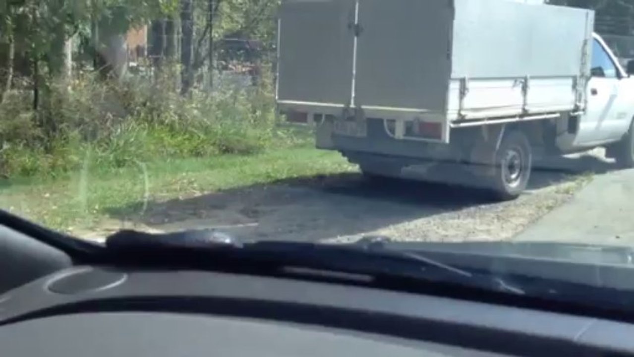 Giant Snake on a car!