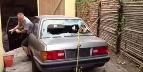 Car Vs Tree... The Tree always wins...