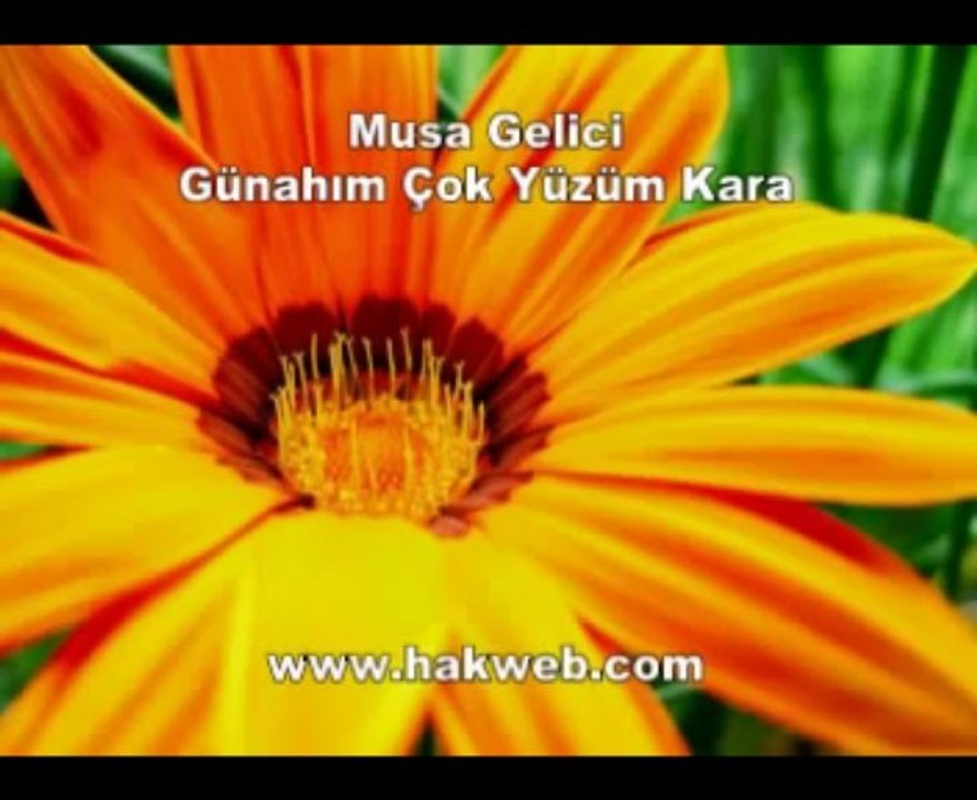 Musa Gelici - Günahım Çok Yüzüm Kara - http __www.hakweb.com