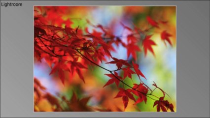 Backing up NS cryptographic keys