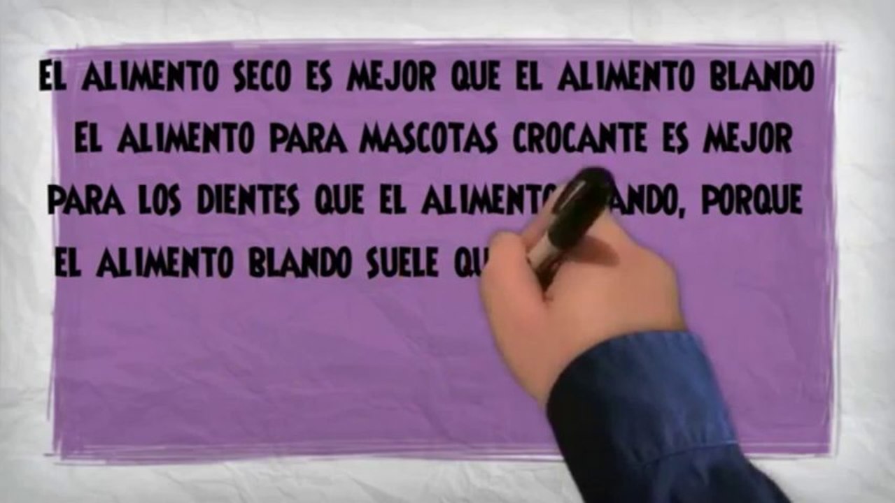 Aprende Los Cuidado De Los Dientes Del Perro