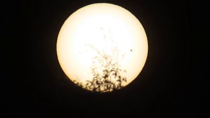 the sun , canon sx50 hs , baader solar filter , 100 X  magnification