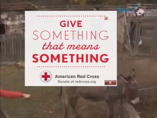 Ivan & Edin - razgovor -81.dan