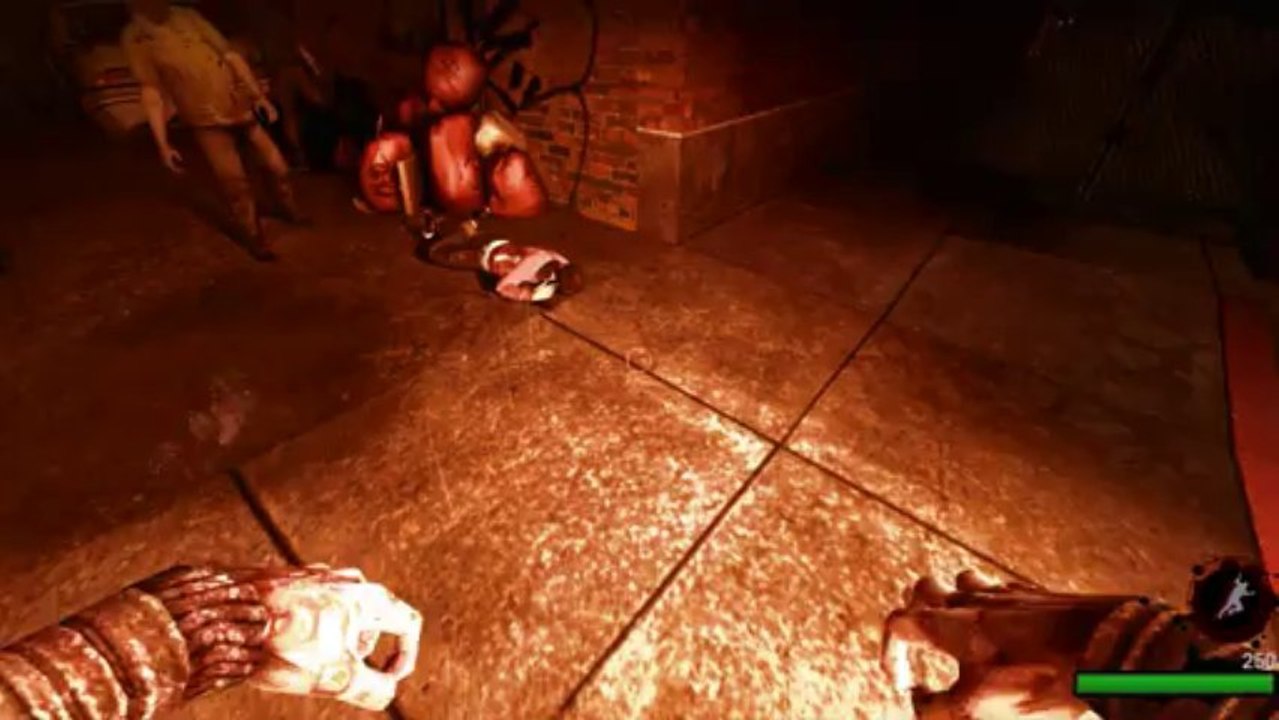Funny Left 4 Dead Bug