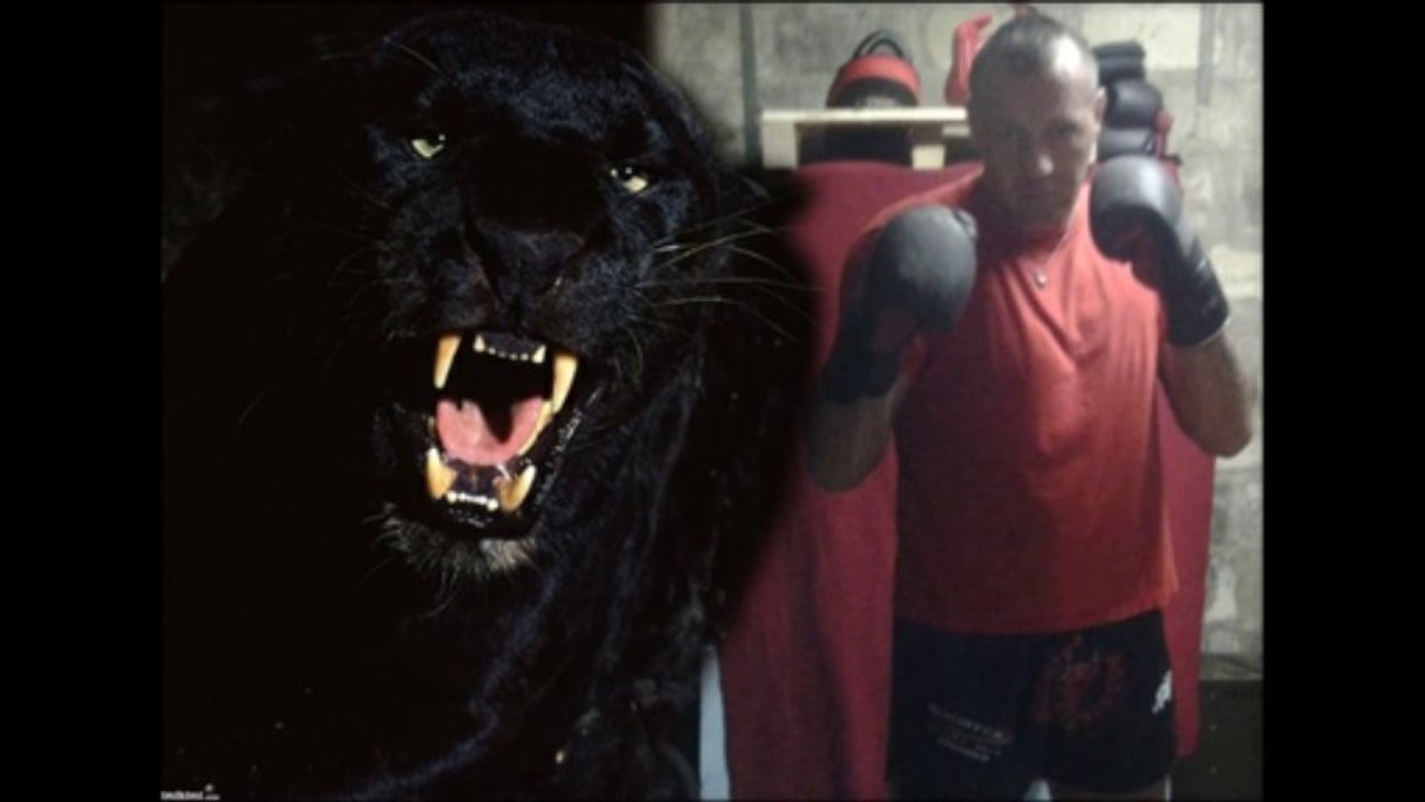 jowan stoks johan stockx  tupac dont with us