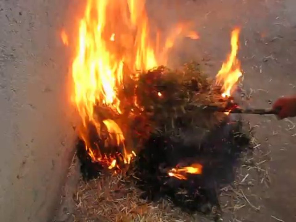 Mecitözü, Kayı köyü Turgayın kamerasından