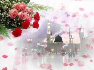 DEVRAN'aDAİR  // ÖMER FARUK DEMİRAL