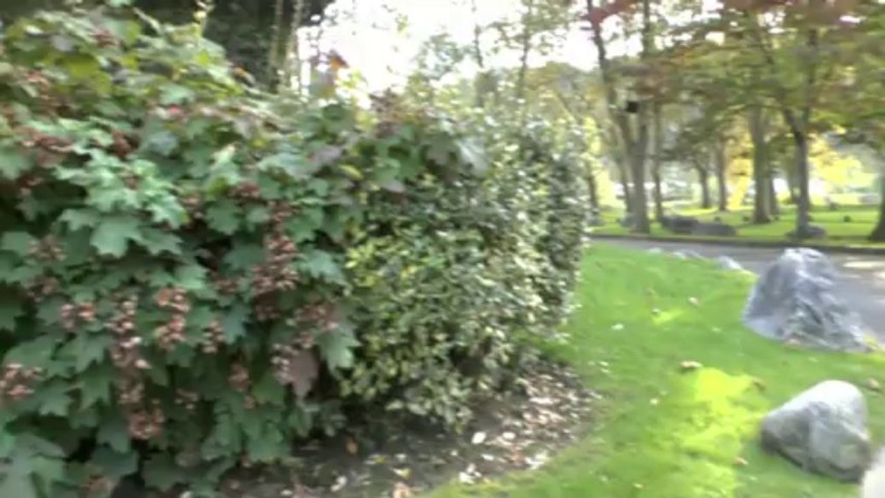 LES PROMENADES DE MICHOU W-D.D. - 13 OCTOBRE 2013 - EN LONGEANT LES RIVES DU GAVE DE PAU ET LE PAU GOLF CLUB.