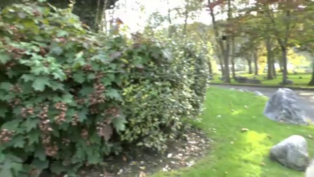 LES PROMENADES DE MICHOU W-D.D. - 13 OCTOBRE 2013 - EN LONGEANT LES RIVES DU GAVE DE PAU ET LE PAU GOLF CLUB.