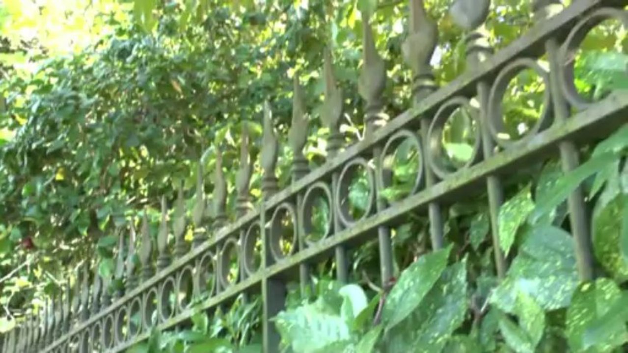 LES PROMENADES DE MICHOU W-D.D. - 20 OCTOBRE 2013 -  LE CASTET DE L'ARRAY.