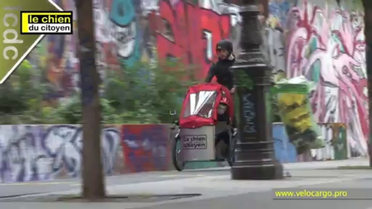 vélocargo : choisir un triporteur ou un biporteur ?