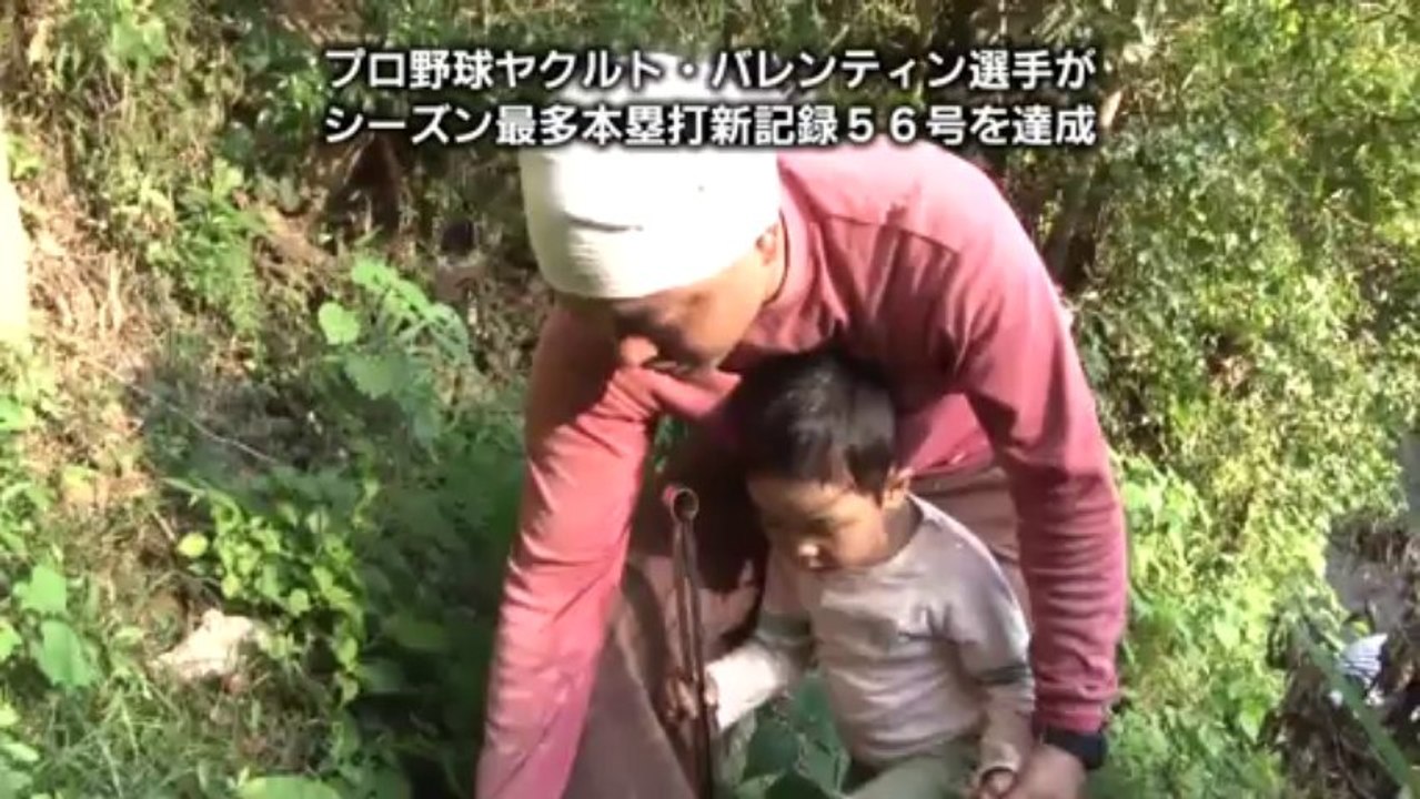 日本の四季を巡る旅