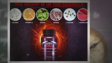 1285 Muscle - 1285 Muscle Reviews