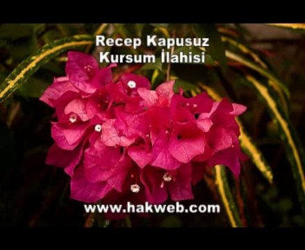 Recep Kapusuz - Kursum İlahisi - http___ hakweb.com
