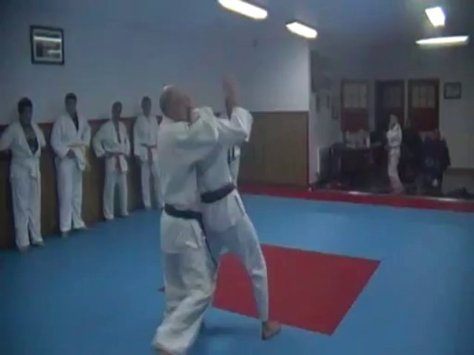 Krav maga.Rollin Philippe