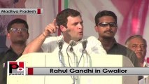 Rahul Gandhi speaks at a huge Congress rally in Gwalior