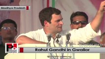 Rahul Gandhi in Gwalior: UPA constructed more roads in Madhya Pradesh than NDA