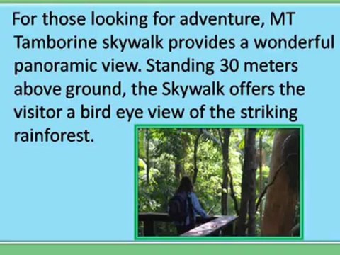 Mt. tamborine events