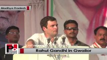 Rahul Gandhi in Gwalior is confident that Congress would form a govt in Madhya Pradesh