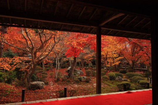 Autumn Hotspots in Kyoto and Nara!