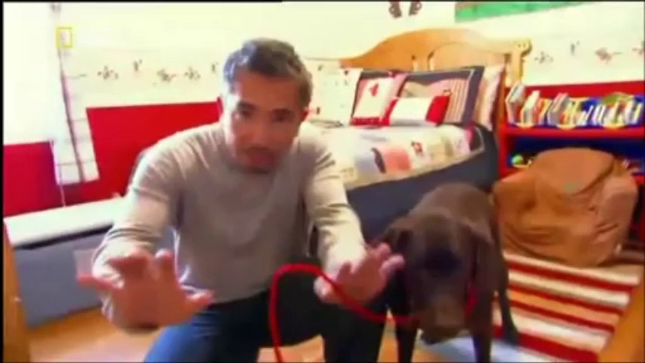 Cesar Millan S01 Ep12-2 D