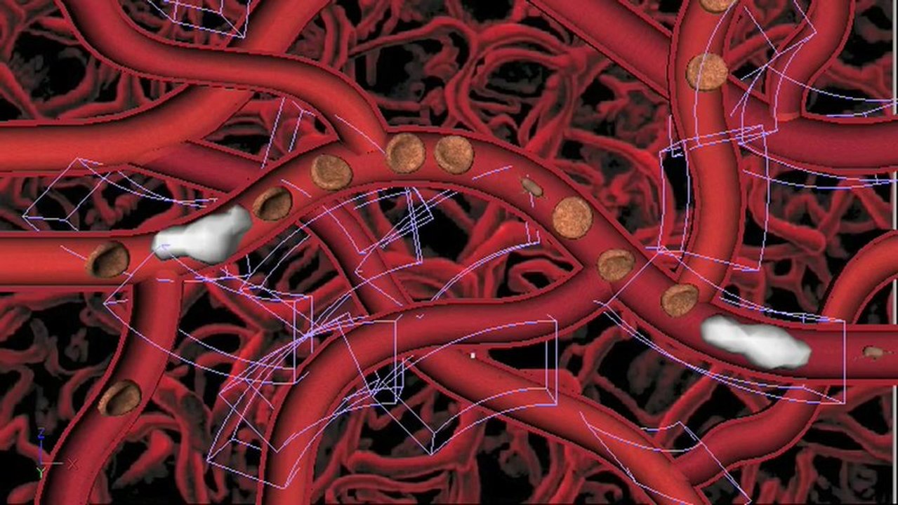 Voyage dans le systeme sanguin-preview 0.1