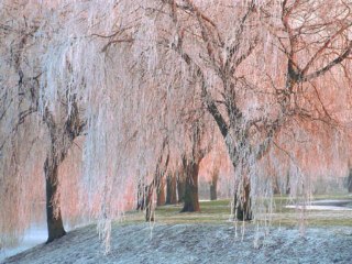 KAPIN HER ÇALINDIKÇA