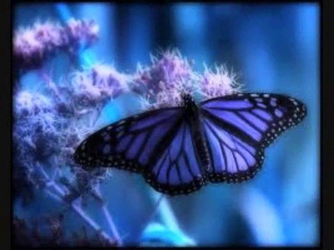 KENDİNE İYİ BAK..!