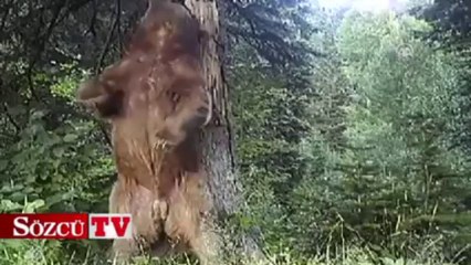 Daha önce böyle hiç görüntülenmemişti