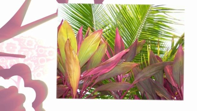 Best Places For Destination Weddings