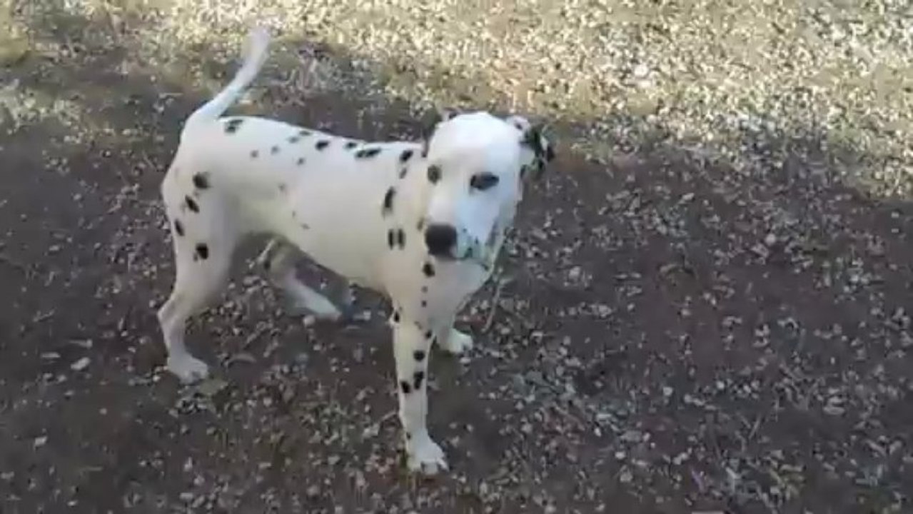 Ilana le 22 novembre 2013 001