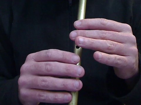 Les Anges dans nos campagnes - flûte irlandaise - chanson de Noël - Tradschool