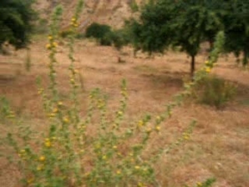 Vacances en kabylie